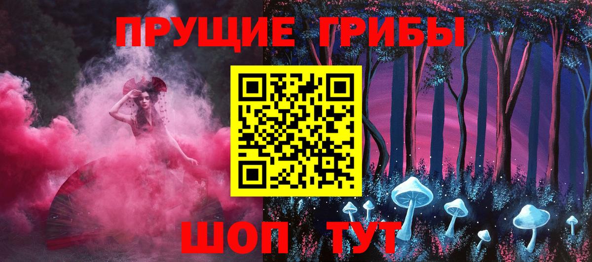 Псилоцибиновые грибы прущие грибы  Вход с VPN  Камень-на-Оби 